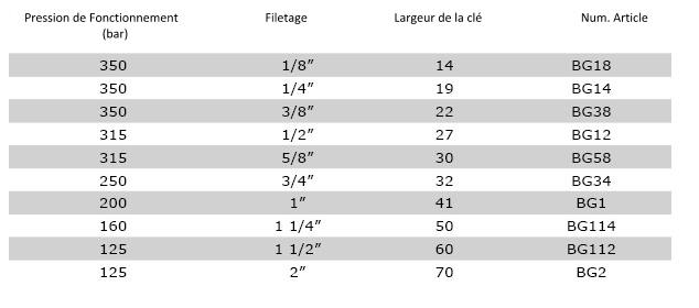 Données Techniques BG - Buse droite