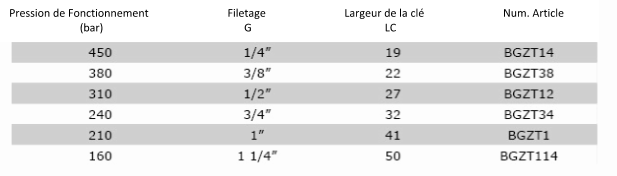 Données Techniques BGZT-T - Pièce de raccord intermédiaire - avec cône d'étanchéité