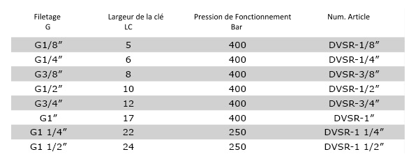 Données Techniques DVSR - bouchons de fermeture pour les orifices BSPP