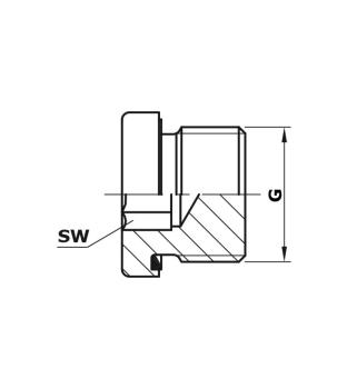 Blanking plug for ports, metric M10x1.0