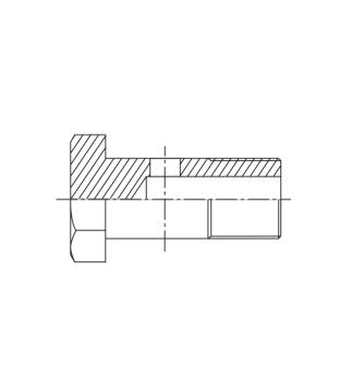 Hohlschraube - metrisch - M10x1