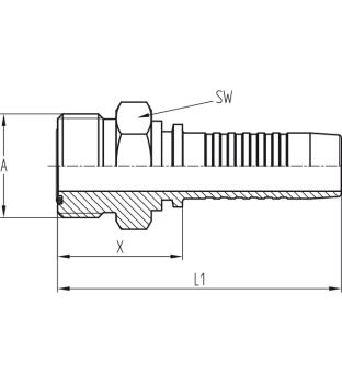 AORFS - DN6 - 11/16"-16 UN