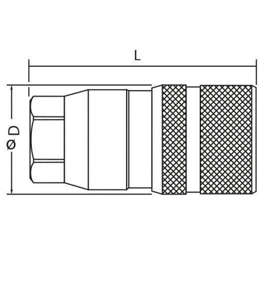 Steckkupplung flachdichtend, Muffe für Schnellkupplung BG 6, 1" Innengewinde, Typ HMSTK-ST-FF12-16BSP20M